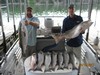(06/10/2017) - Nice Striped Bass